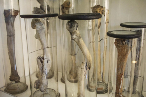 A meeting of the Society of Woeful Femurs at Glasgow Hunterian Museum, by us on Flickr.