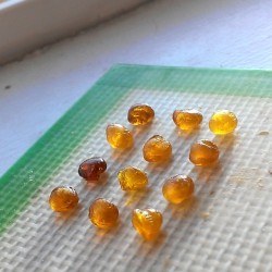 weedporndaily:  Doing a little taste test by globcity http://ift.tt/1k0OuvE  Kann mir einer sagen was das is