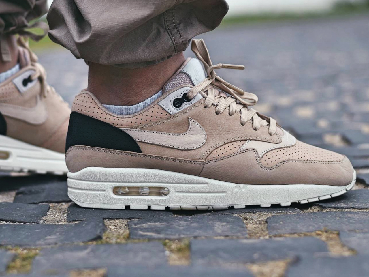 air max 1 pinnacle mushroom