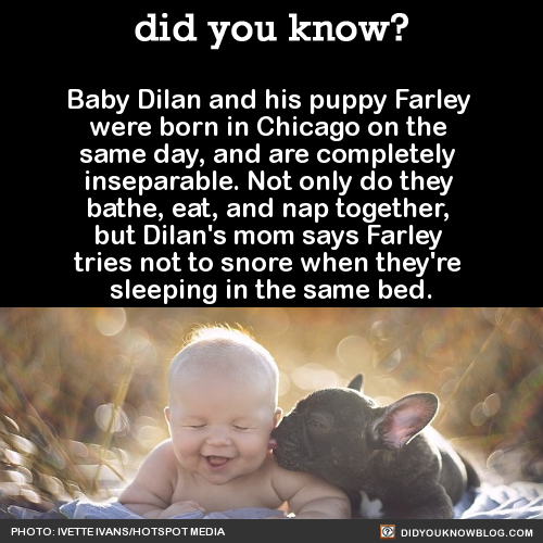 did-you-kno:  Baby Dilan and his puppy Farley were born in Chicago on the same day,