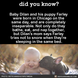 Did-You-Kno:  Baby Dilan And His Puppy Farley Were Born In Chicago On The Same Day,