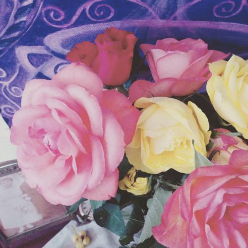 Roses at my ancestors altar #pagan #paganism #paganlife #100witchsdays #witches #witchcraft #ancesto