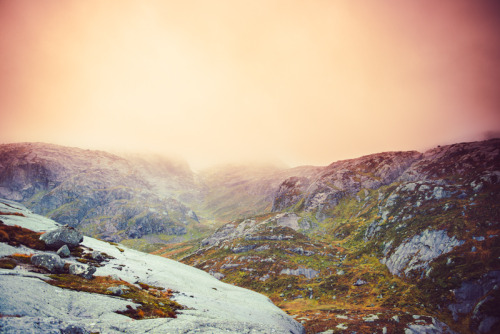 evergreen-woods:   Fog Valley (от Rasmus Hartikainen) 