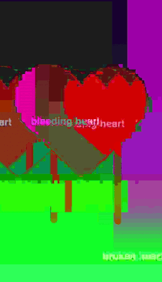 kidmograph:  Bleeding Heart /// 