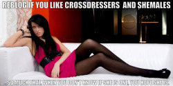 sophiasteel: Love other girls like myself, #crossdress  #tgirl  #crossdresser  #tranny