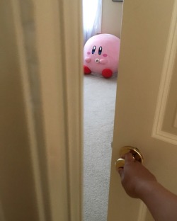 feelikerein:  this is no joke the first thing you see when you open my door