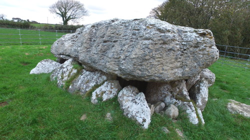 Lligwy Burial Chamber, Anglesey, North Wales, 6.11.16.