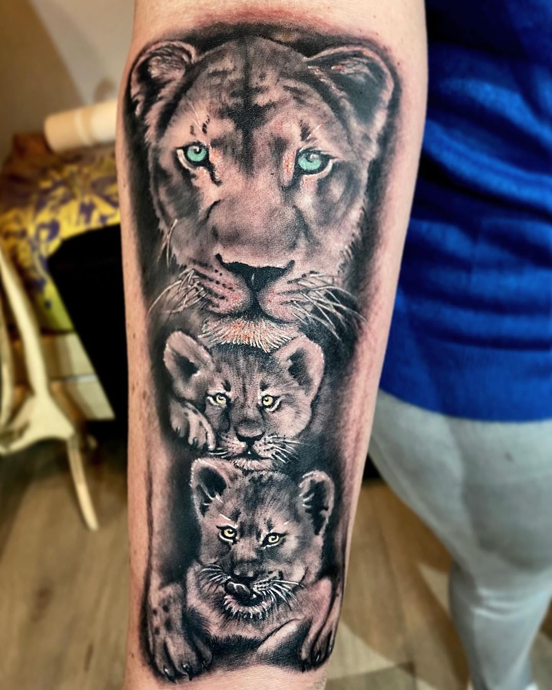 Pin by Jose Felix Garcia on tattoo brazo izquierdo  Lioness tattoo Cubs  tattoo Lion tattoo sleeves