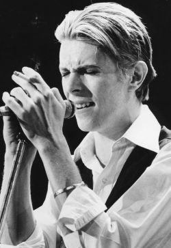 The Thin White Duke