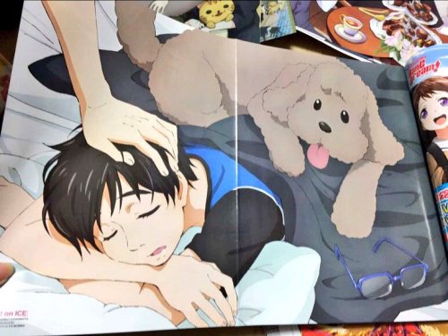 In addition to this two-page spread, there is also the above pin-up poster of Viktor (Presumably), Yuuri, and Makkachin included within Newtype’s February 2017 issue!  \(*´♡`*)/