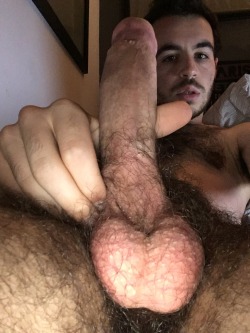 gayhairyslut:  Who likes it hairy?