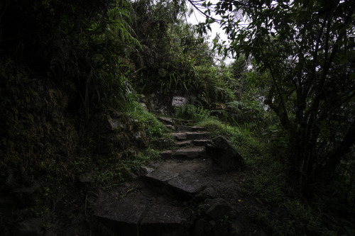 mpsouthamerica:  .on the way to Machu Picchu. Aguas Calientes, PERU