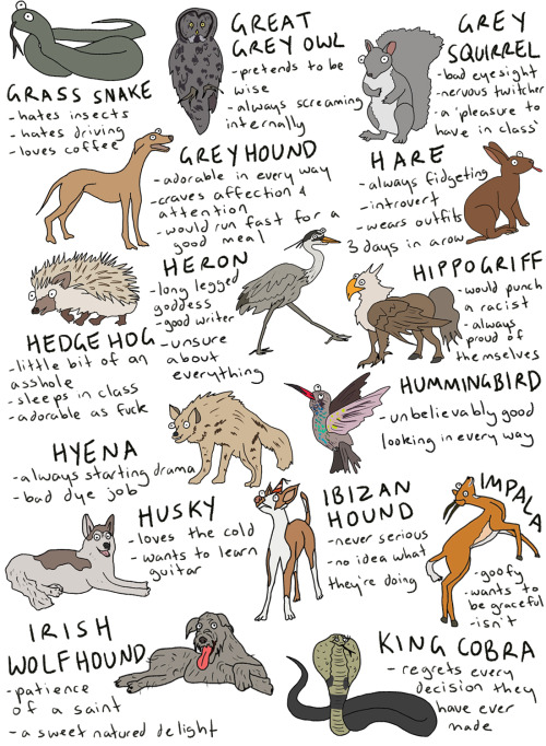 fleamontpotter: click to make bigger!!!  THIS IS SO LONG i’ve literally included every an