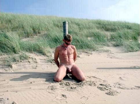 Lifestyles of the Fun and Kinky