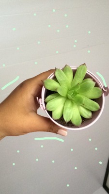 holographic-plants:  💟