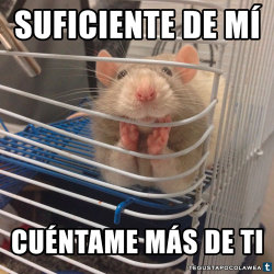 FUTUBANDERA ¡ES LA LUUUZ!