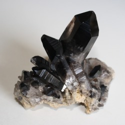 fuckyeahcrystals:  Black Morion Quartz 