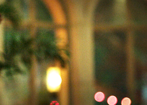 gay-bucky-barnes:RAINER DAWN  WOLF PACK 1.06 “After Party”