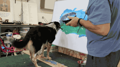 sharkfinsoap:gifsboom:Genius Dog Paints a Landscape Painting. [video][Omar Von Muller]@auleop I woul