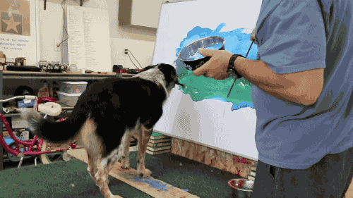 gifsboom:  Genius Dog Paints a Landscape Painting. [video] [Omar Von Muller]