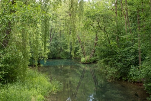 firefliestaketotheskies:Rhumequelle, Lower Saxony, Germany, June 2017This is just such a magical pla