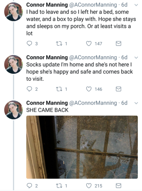 naamahdarling: aconnormanning: so i have a cat now I am such a sucker for a good love story!