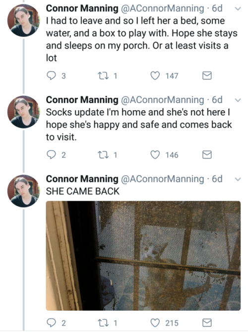 naamahdarling: aconnormanning: so i have a cat now I am such a sucker for a good love story! 