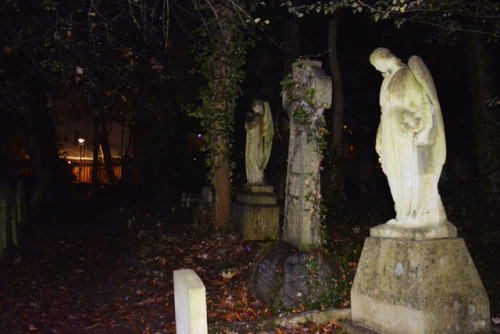 glorianas: highgate cemetery, london, england, november 1st, 2018