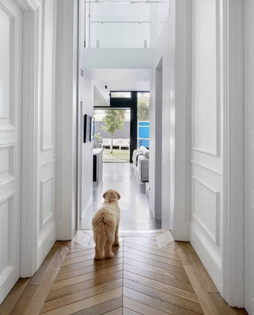 Love that chevron pattern floor.