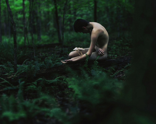 Sex picaet:  Symbiosis. by alexstoddard on Flickr. pictures