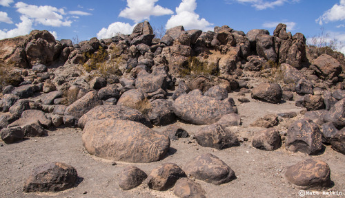 nolonelyroads: Painted Rock Petroglyph Site, AZ