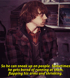 acciomychildhood: Favorite (missing) book quotes → Ron on Death’s Invisibility Cloak (Deathly Hallows, p. 331)