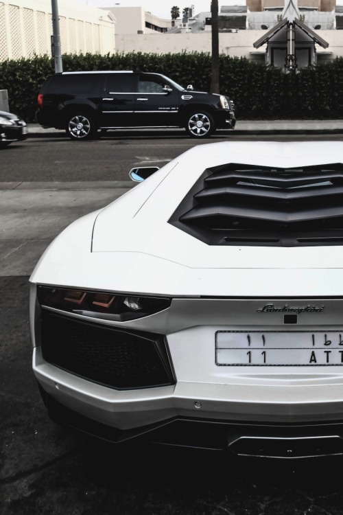 vistale:  Lamborghini Aventador | via   dont adult photos