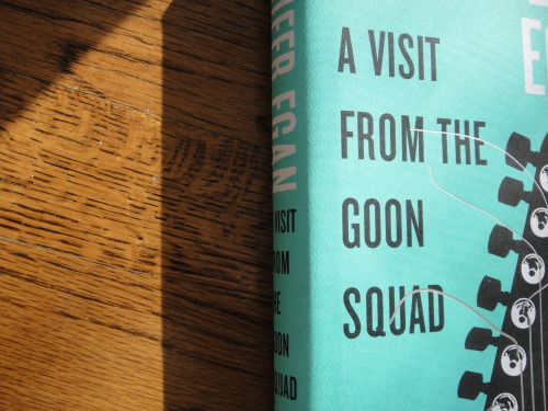 2013 Goals: February Illustrated Books: A Visit From the Goon Squad by Jennifer Egan (two thumbs way