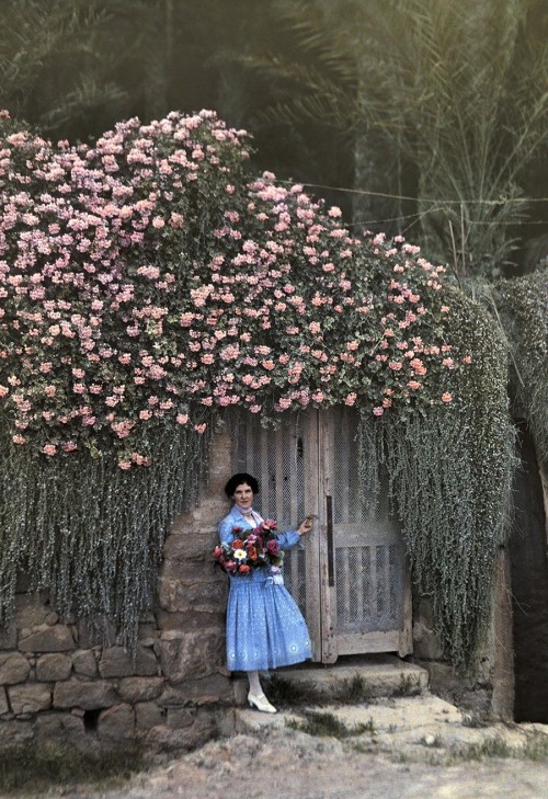 Garden in Bordighera, Italy, 1928.  Autochrome, photograph – Hans Hildenbrand. Flower seller in Barc