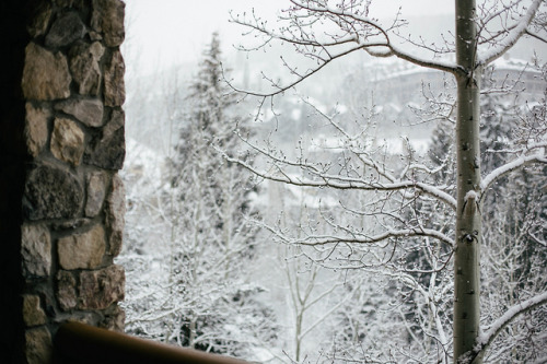 elorablue:Y75A7928.jpg by Beth Kirby | {local milk} on Flickr.