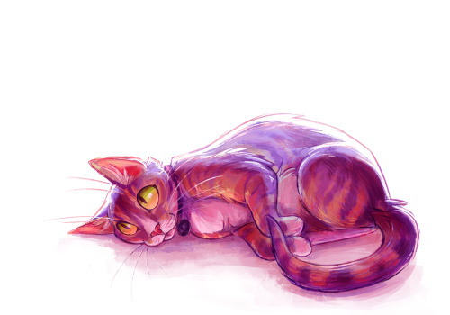 squeedgeart:Lost a friend of nearly 17 years today. Rest in peace, Little Kitty. You may never know 