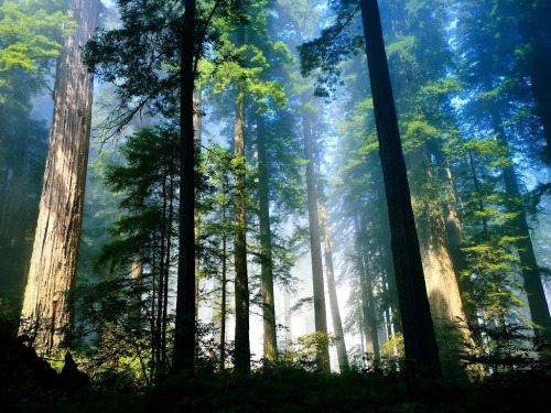 theencompassingworld:  By thxm8tyThe World Around Us