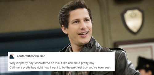 phil-the-stone:  Brooklyn Nine-Nine + tumblr textposts, THE CONTINUING SAGA 