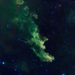 rhamphotheca:  Witch’s Head Nebula A witch appears to be screaming out into space in this new image from NASA’s Wide-Field Infrared Survey Explorer, or WISE. The infrared portrait shows the Witch Head nebula, named after its resemblance to the profile