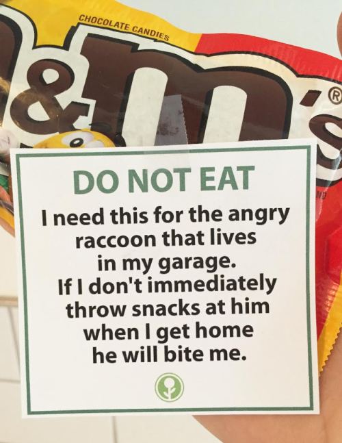 obviousplant:  Do not eat my food, please. 