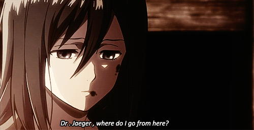 commandereyebrows:  slay-kyojin:  shingekinodenim:  PEOPLE GIVE MIKASA SO MUCH SHIT and it’s funny, but seriously, picture that your parents were brutally murdered in front of you - Eren literally saved her LIFE, taught her to defend for herself, provided