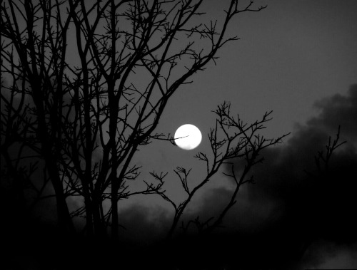 p-e-r-p-e-t-u-a-l:  by Aender M. Ferreira     