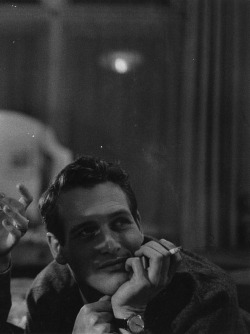 Paul Newman