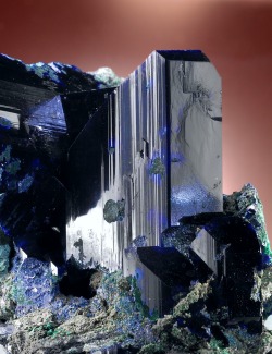 fuckyeahmineralogy:  Azurite; Tsumeb