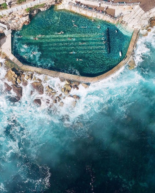 oceaniatropics: Bronte Beach, NSW, Australia