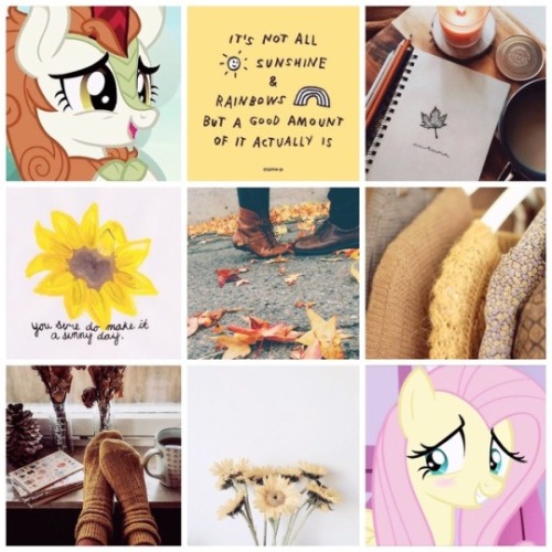 autumnshy moodboard I made on our discord server for @stimmyfluttershy