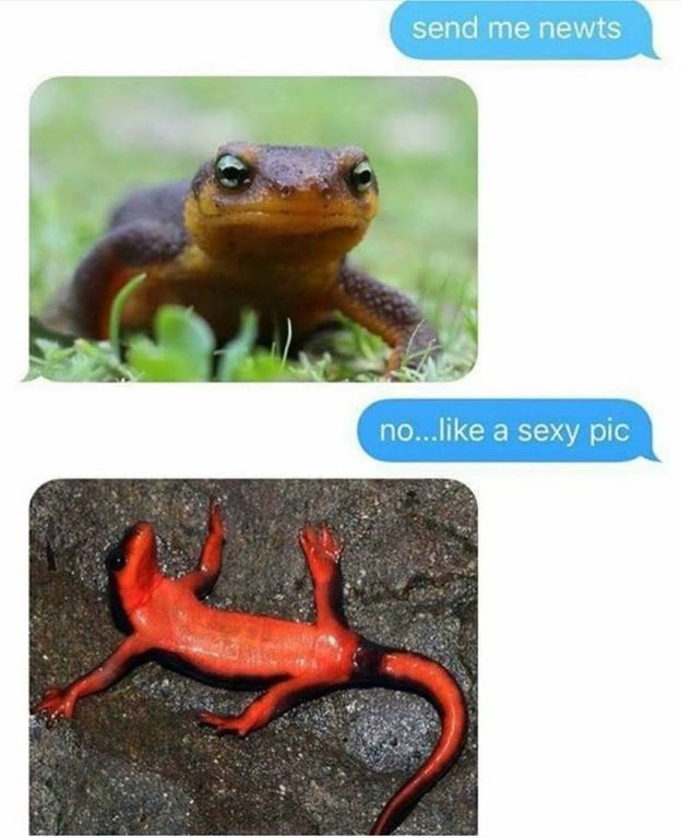 lolfactory:  Delivery as requested  tumblr pictures ☆ Facebook ☆ Twitter ☆