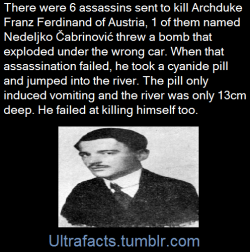 ultrafacts:As he was still a minor, he was not executed, but was sentenced to twenty years in prison. He died on 20 January 1916 of tuberculosis in a Terezín prison.  (Fact Source) Follow Ultrafacts for more facts  