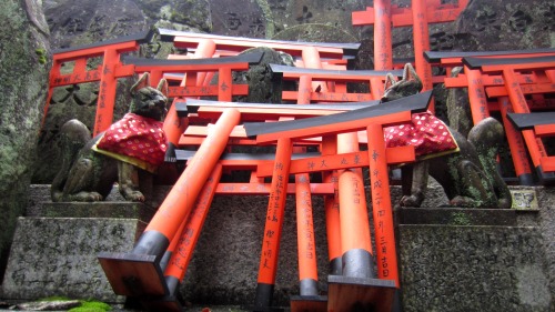 Fushimi Inari part 2